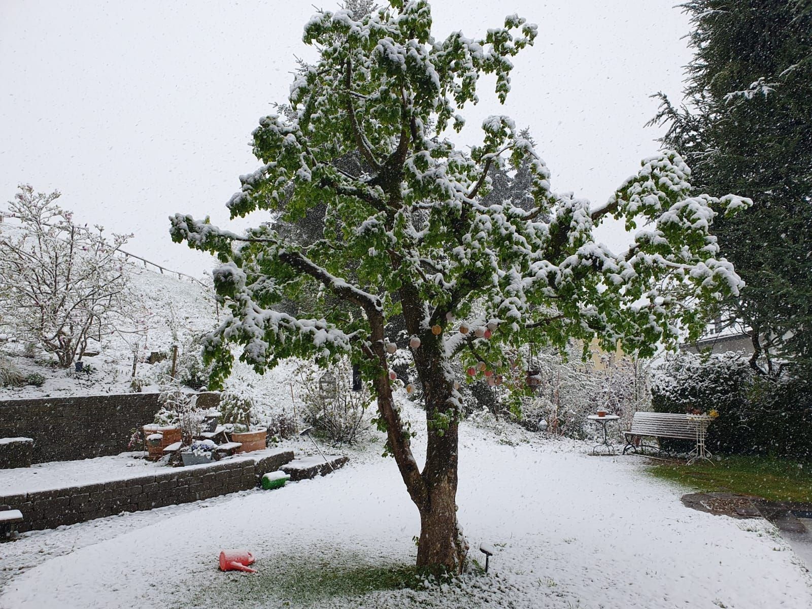 Unexpected Snow Returns to Lowlands: Impressive Reader Photo Shows Winter’s Comeback